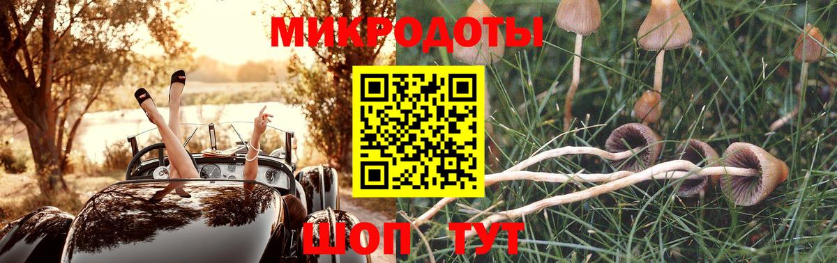 Галлюциногенные грибы прущие грибы Троицк